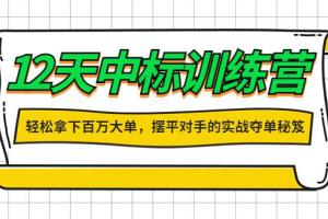 张金洋·12天中标大客户训练营（百度网盘）