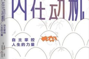 内在动机精读班（读后感）
