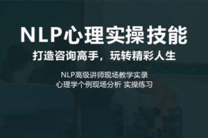 NLP心理实操技能线上课（心理咨询高手课）