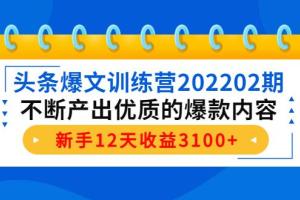 头条爆文赚钱训练营（2022最新）