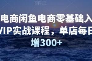 圣域电商·闲鱼电商零基础到进阶VIP实战课程