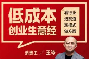 王岑·低成本创业生意经