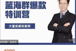 无招店群·蓝海群爆款特训营（原价5000元）