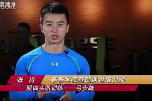 赛普健身·牛男健身视频教程全集（臀部 腿部 胸肌 肱二头 肱三头）