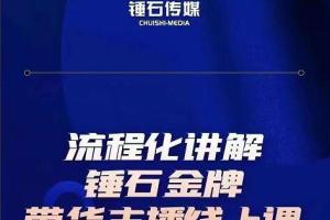 锤石传媒婉婉·金牌带货主播线上培训课
