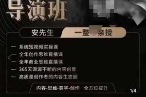 亲爱的安先生新媒体导演班，内容-思维-美学-创作全方位提升