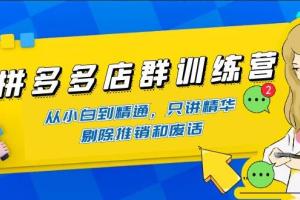 拼多多店群训练营课（百度网盘）