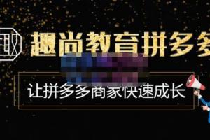 趣尚教育·拼多多运营实操VIP特训营（价值3180元）