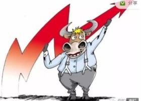 牛哥实战训练营第11期