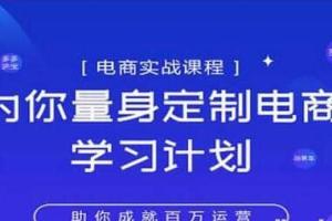 鑫老板电商·淘宝运营实战宝典破解版（百度网盘）