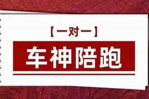 纪主任·拼多多专业运营系统课程 给你店铺出运营方向