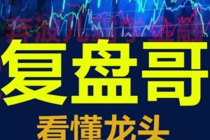 复盘哥·看懂龙头股交易决策室（2022-2023年）