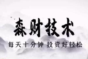蔡森·森财技术宏观课程，森财基础 进阶合集（2023年1月）