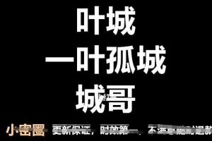 一叶孤城小密圈·价值投资老手2006音频 文档（2023年）