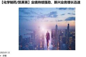 君临研报·2023年年度私享版pdf文章(百度网盘)