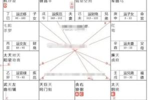 陈小飞·钦天门紫微斗数基础班（全29集）