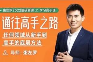 粥左罗通往高手之路·任何领域从新手到高手的底层方法
