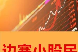 边塞小股民·边塞小股民价值成长公众号文章（2023年）