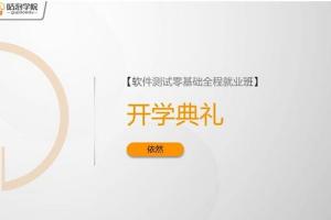 沽泡·P4软件测试零基础入门班（价值7800元）