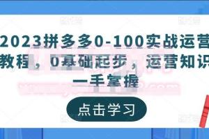 2023最新拼多多运营培训课程,0基础起步,运营知识一手掌握