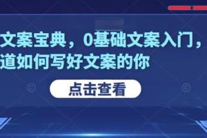 快速文案宝典：0基础也能写出爆款文案