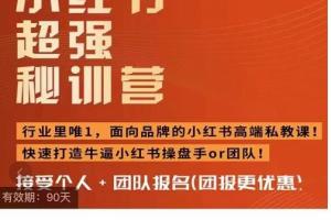 小红书超强秘训营，面向品牌的高端私教课