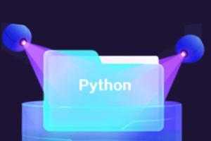 Python实战精讲：萌新系统入门课程