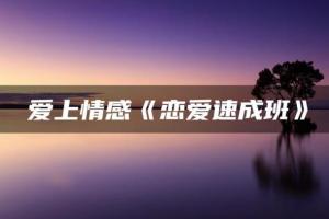 爱上情感:话术惯例聊天模板,小白快速掌握