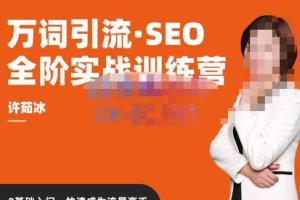 许茹冰·万词引流SEO全阶实战训练营