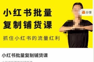 张宾·抓住小红书红利流量红利,批量铺货线上课程