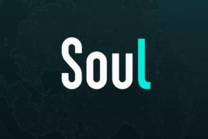 soul精准引流系列课程:一天引流100 精准粉