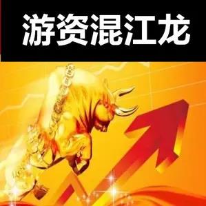 混江龙.龙哥2023年游资训练营视频课程资源简介 混江龙.龙哥2023年游资训练营视频课程资源简介