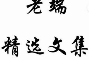老端精选文集（2023年2月-4月30）