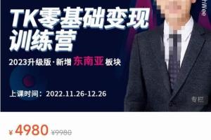 嘉伟·TK零基础变现训练营第20期（新增东南亚板块）