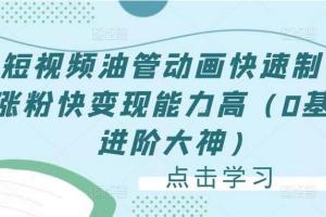 油管动画短视频快速制作涨粉变现课程（带软件）