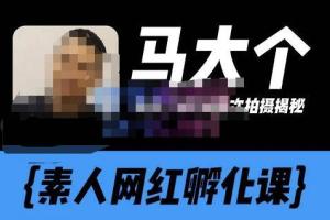 马大个抖音素人网红孵化课程（百度网盘）