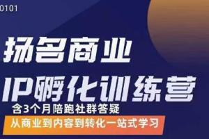 王扬名·抖音商业IP孵化课程