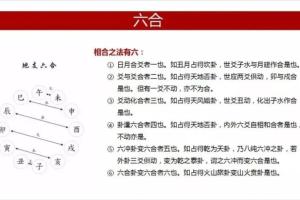 王虎应·新加坡六爻高级技法讲课视频(1-15集)