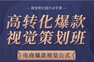 爆款视觉策划教程，电商爆款视觉公式，视觉转化提升必学课