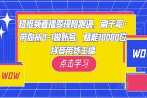 刷子哥·短视频直播带货课程（百度网盘）