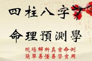 拂尘子·四柱八字命理课程