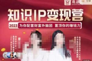 鹿盈盈·知识IP变现营付费课程