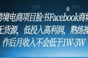 脸书Facebook商城无货源跨境电商项目教程（月收入1W-3W）