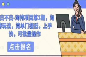 绅白不白·淘特项目课程（第1期）