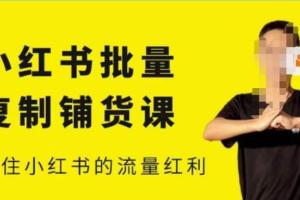 张宾小红书课程完整版（百度网盘）
