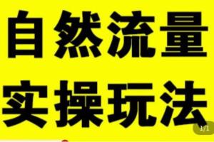 2023拼多多自然流量天花板实操课程