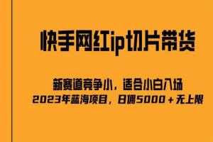 快手网红IP切片蓝海项目教程，号称日入5000 （2023最新）