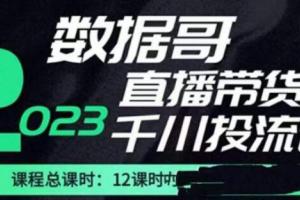 数据哥·直播电商巨量千川付费投流策略课（2023）