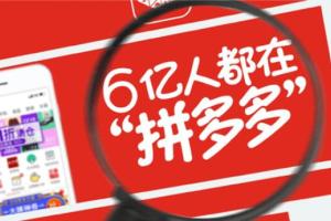 纪主任·千锤百炼拼多多运营系列课程2023（百度网盘）