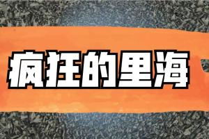 疯狂的里海·A股价值成长投资之路（每周直播 投资笔记）